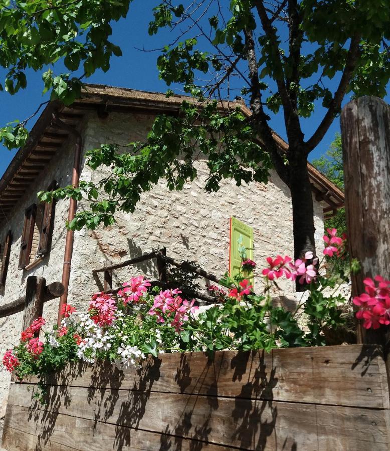 Dell'osteria Bed & Breakfast *